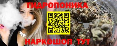 дживик Гай