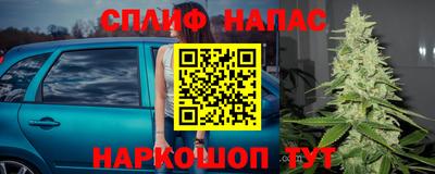 apvp Гагарин