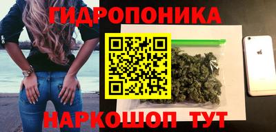 apvp Гагарин